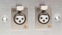 Stainless Steel Dual 3-pin XLR-F Connectors on Duplex Wall Plate