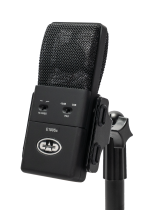 Large Diaphragm Supercardioid Condenser