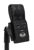 Large Diaphragm Supercardioid Condenser