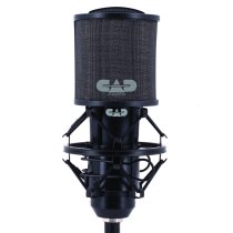 Compact pop filter