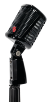 Supercardioid large diaphragm dynamic side address microphone